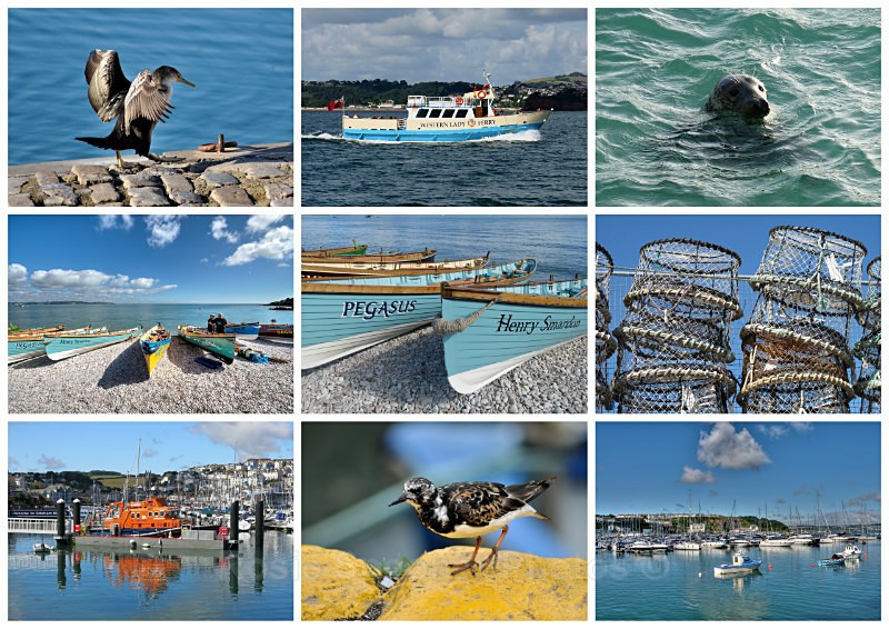 TQ96 - Boats lobster pots and wildlife around Brixham Harbour - Greetings Cards Brixham Broadsands and Kingswear