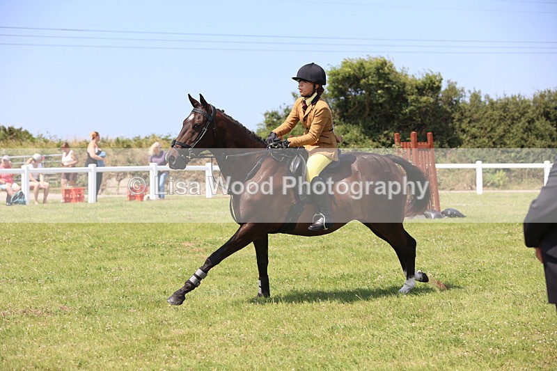 JPP_3054 - Class 22: Working Hunter 70cm