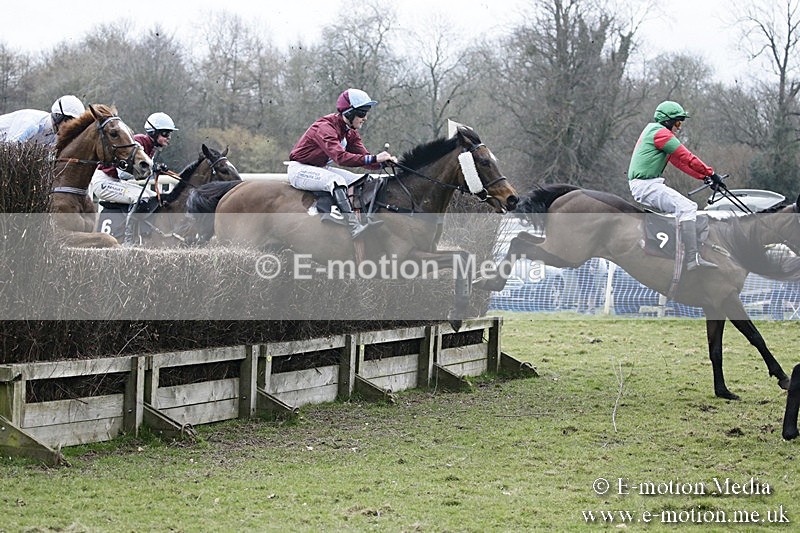 PtP 110318 569 - Hampshire Hunt Point-to-Point Hackwood Park 11/03/18