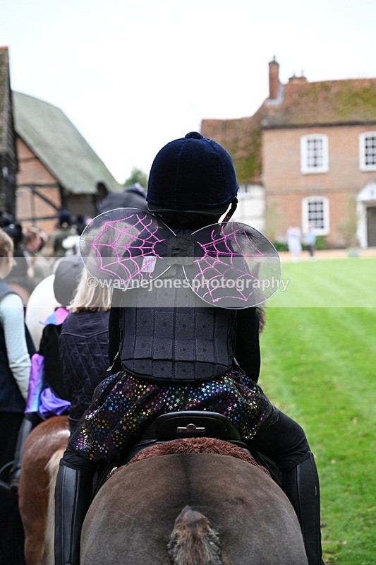 WJ7_6665 - Berks & Bucks - Children's Meet - The Old Farmhouse – Steventon.