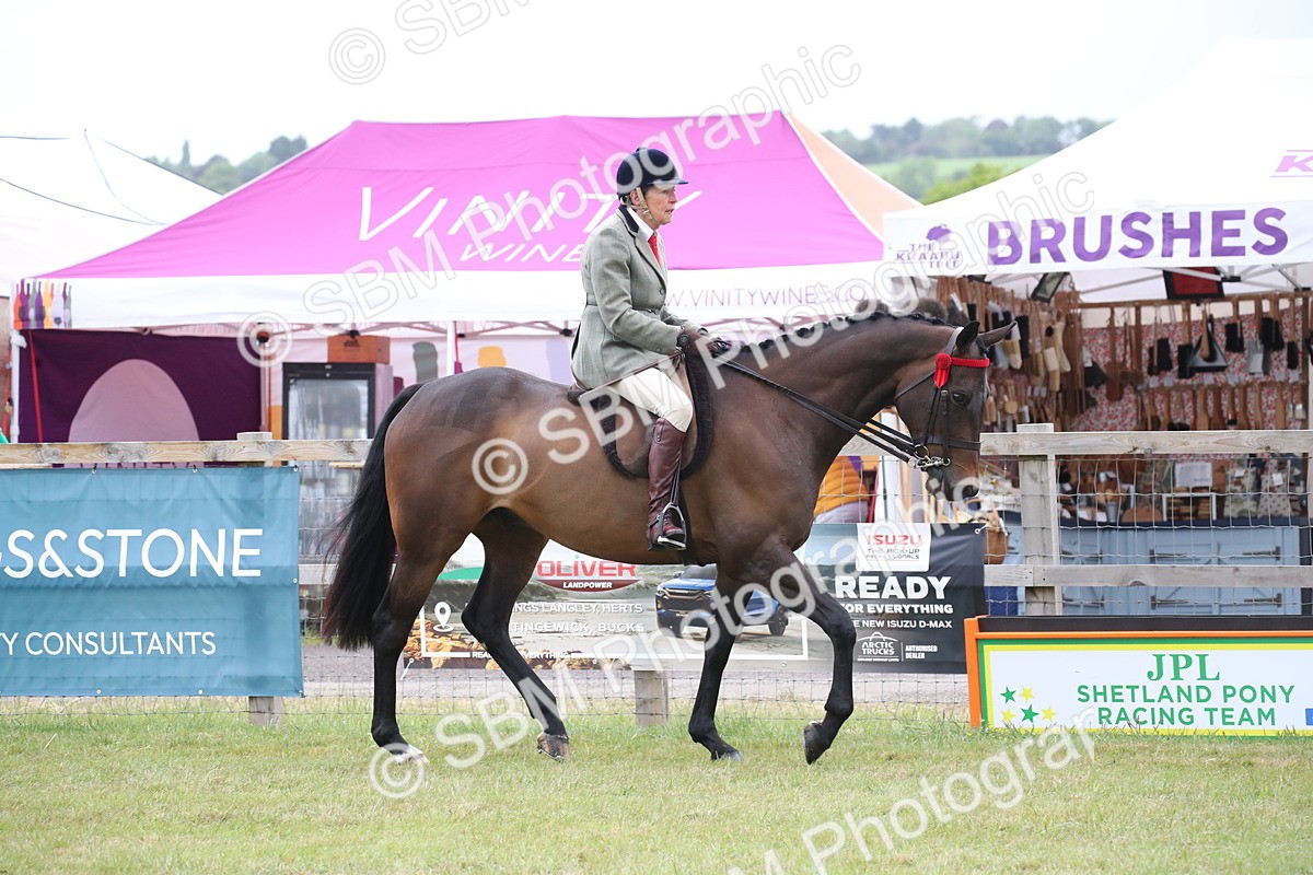 SBM_11400 - Class 94 - LIHS BSHA Racehorse to Showhorse