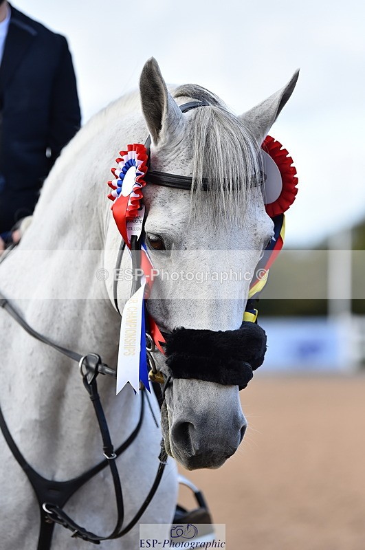 231014A-145644-05398 - Cls 15 1.05m Amateur Q 2nd R