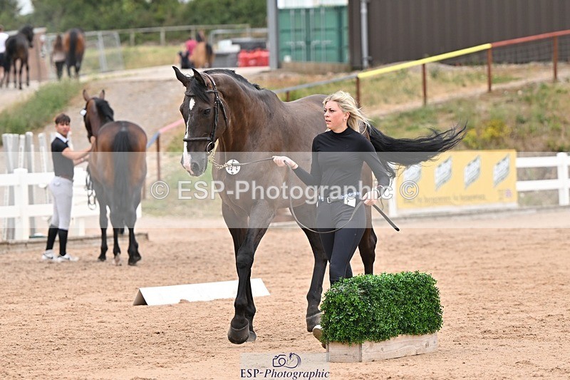 250716-160113-02345 - Trot Up 3.30 to 4.30