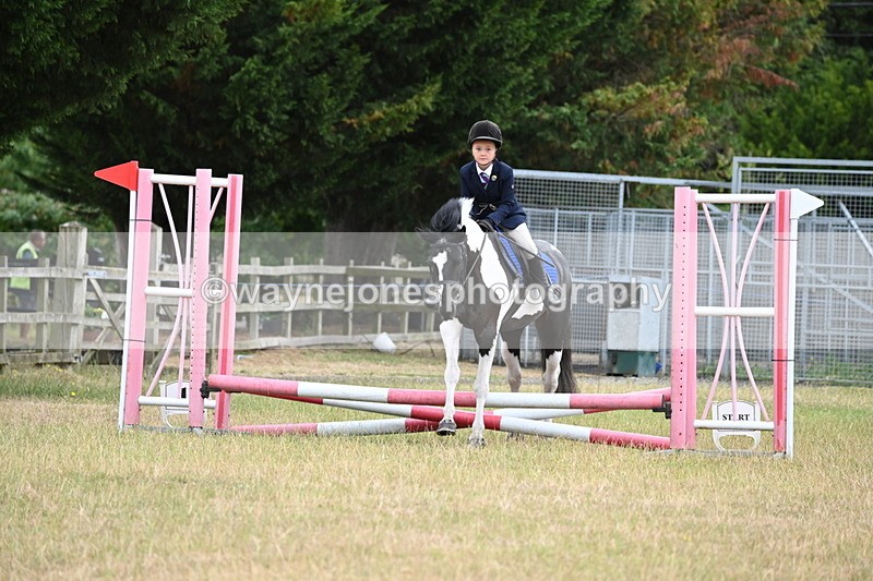 WJ6_9369 - Class 12 Minimus Jumping 45cm