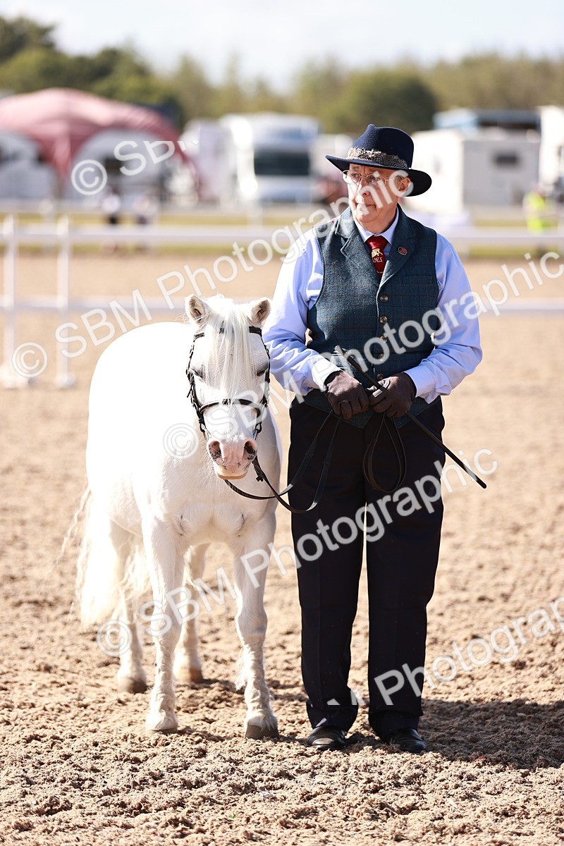 SBM_22825 - Class 705 - IH Combination 65+