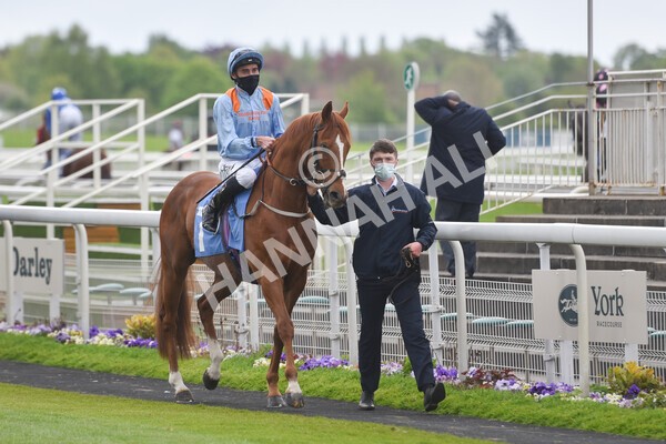 yr14052021r5-14 - Race 5 3.40pm The Jigsaw Sports Branding Handicap