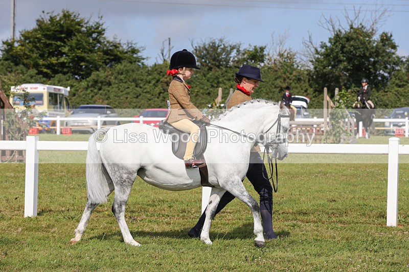 1X9A3538 - Class 29: Lead Rein SP/SHP