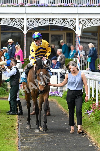 150525-American Affair-3765 - Race 1 2.10pm Lindum York Handicap