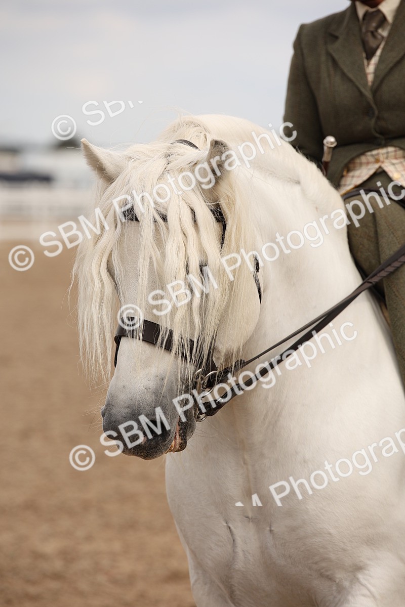 SBM_05409 - Class 22 SSA Equitation