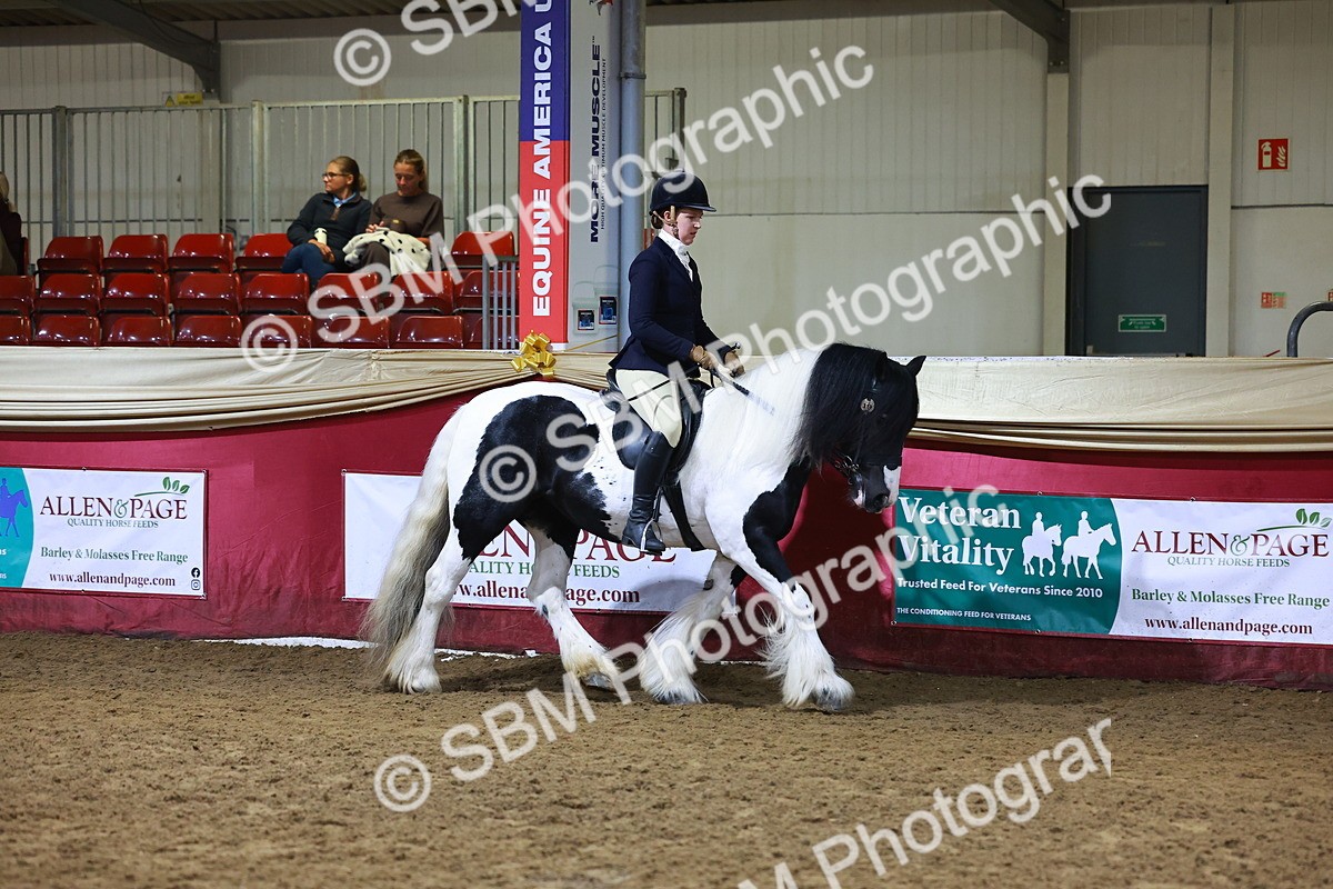 SBM_14949 - Class M - Equitation Champ