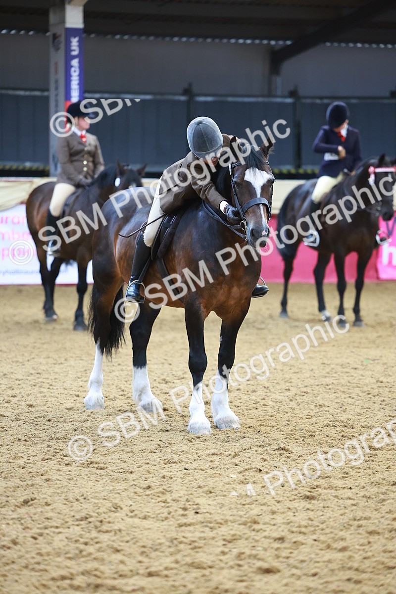 SBM_12657 - Class 103 - HOYS Veteran Qualifier - Ridden Pre Vet