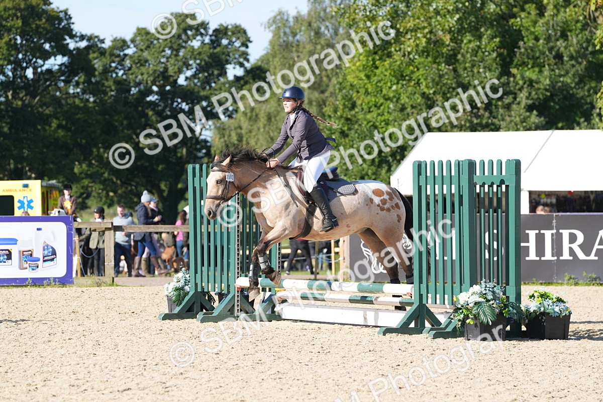 SBM_36098 - J 20 - Junior Horse 50cm Championship