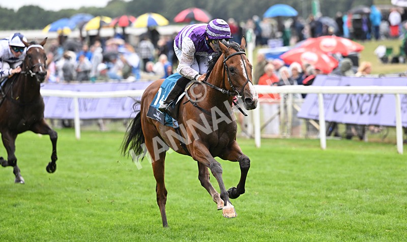 200826-163 Mia Fantasia - Race 6 16.45pm Mews Hotel Ossett EBF Stallions Nursery Handicap