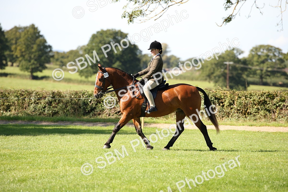SBM_38976 - S11 - Best Ridden Horse & Pony