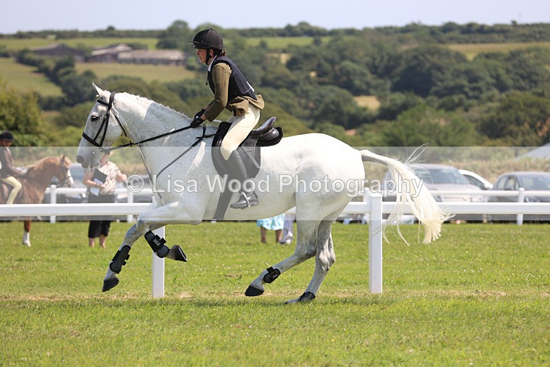 JPP_3188 - Class 22: Working Hunter 70cm