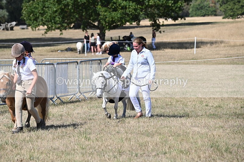 WJ6_9486 - Class 40 Cheekiest Pony/Horse