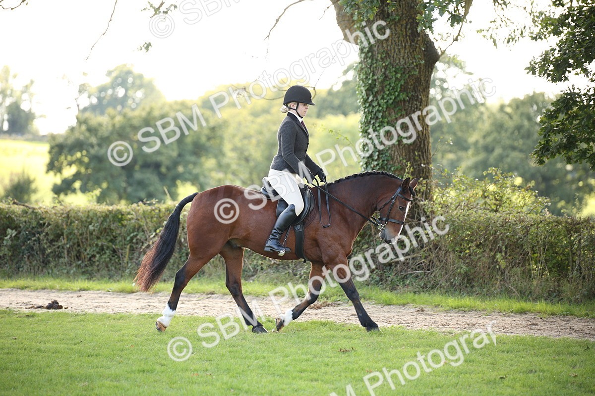 SBM_50109 - S26 - Young Veteran - Ridden