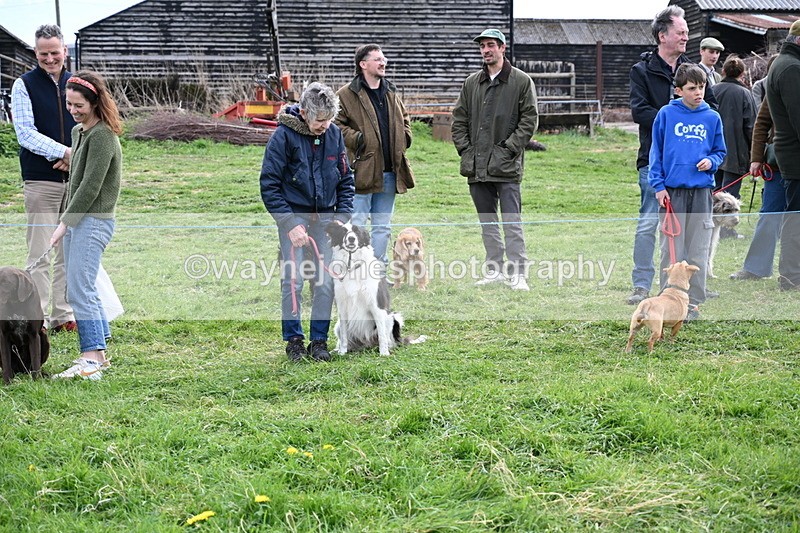 WJ6_8571 - Class 6 Best Rescue