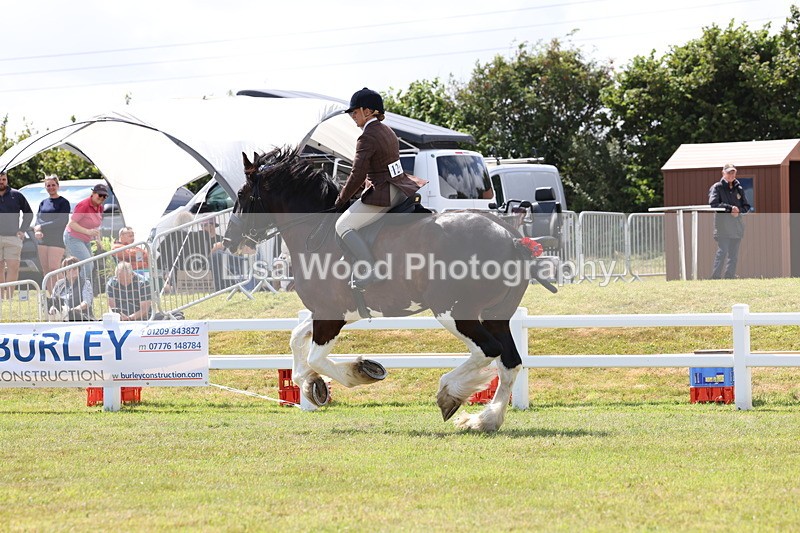 3E7A2890 - Class 13: Heavy Horse Ridden