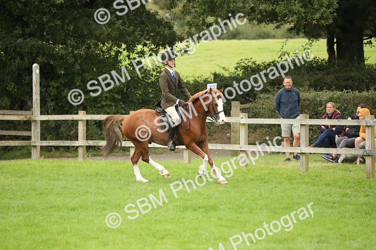 SBM_73793 - S41 - Ridden Equitation (Best Rider)