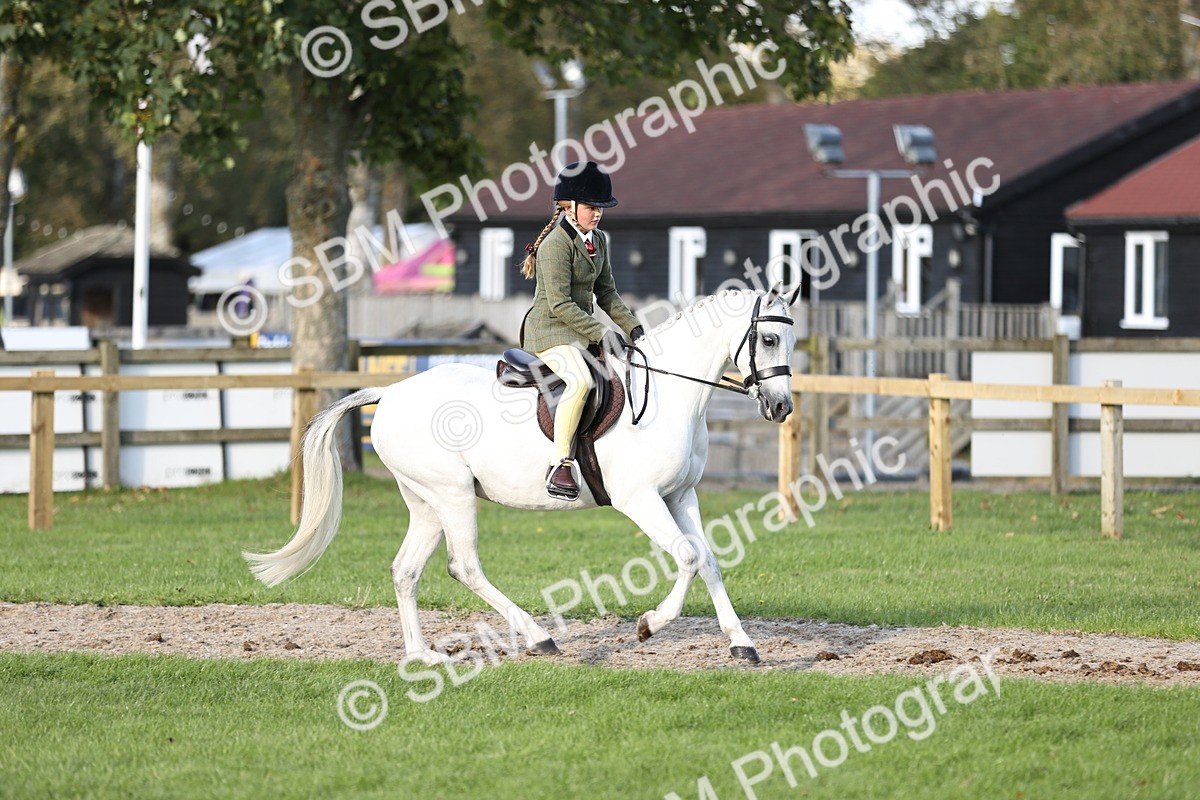 SBM_29462 - S7 - Novice & Newcomers Ridden Pony