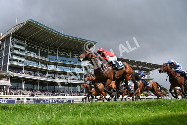 yr22052021r4-43 - Race 4 3.50pm WilliamHill.com Best Odds Guaranteed Stakes