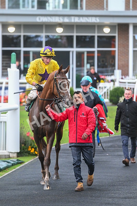 150925-Race 6-Day Of Grace-3183 - Race 6