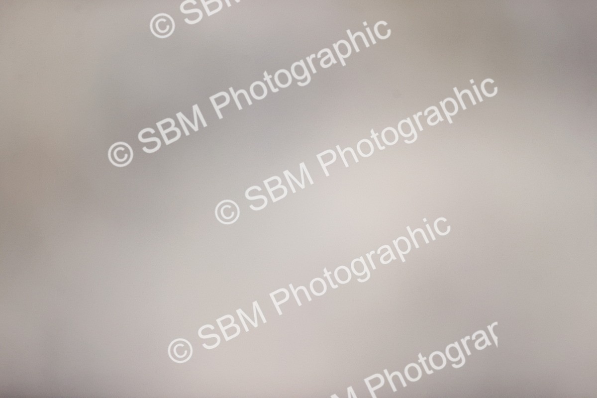 SBM_004220 - SJ - 90cm