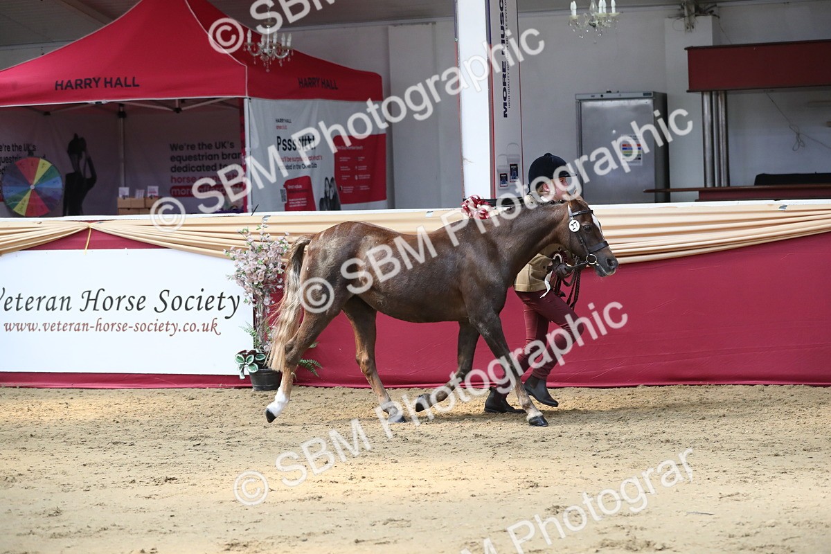 SBM_04508 - Class 7R Regional - IH Diamond