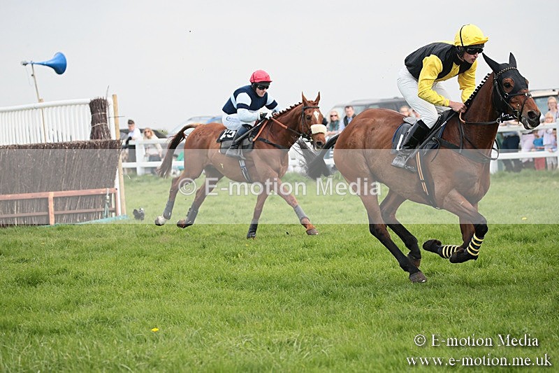 PtP 210418 347 - South & West Wilts Point-to-Point Larkhill 21/04/18