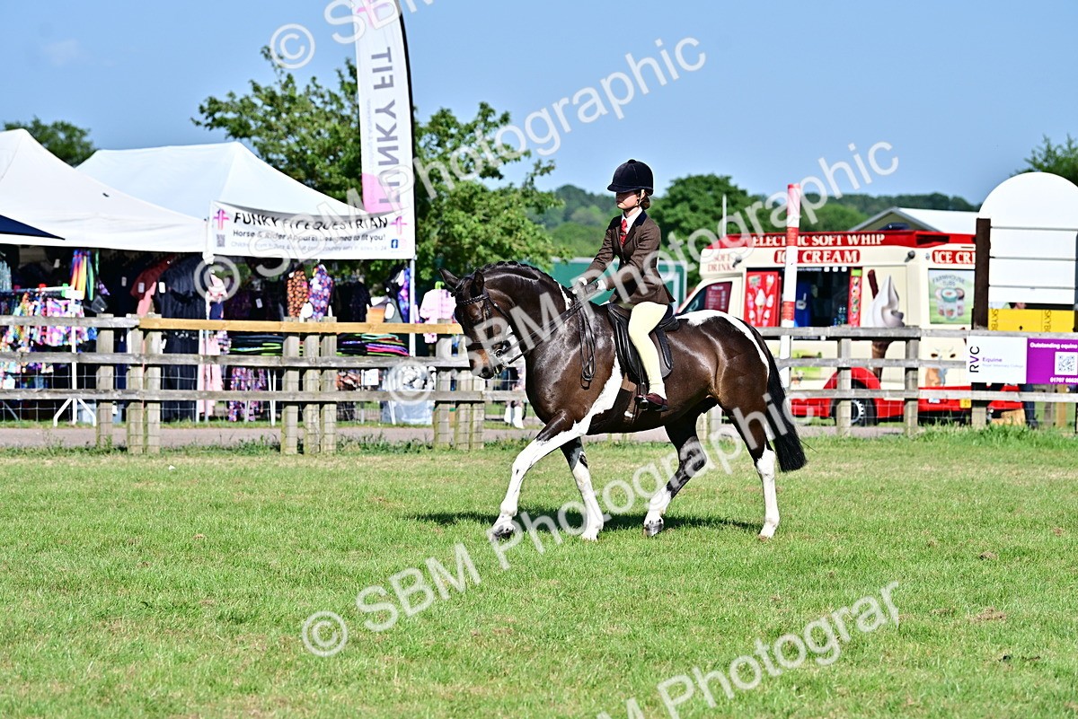 SBM_19527 - Class 101-102 - BSPS LIHS Performance Coloured Horse/Pony