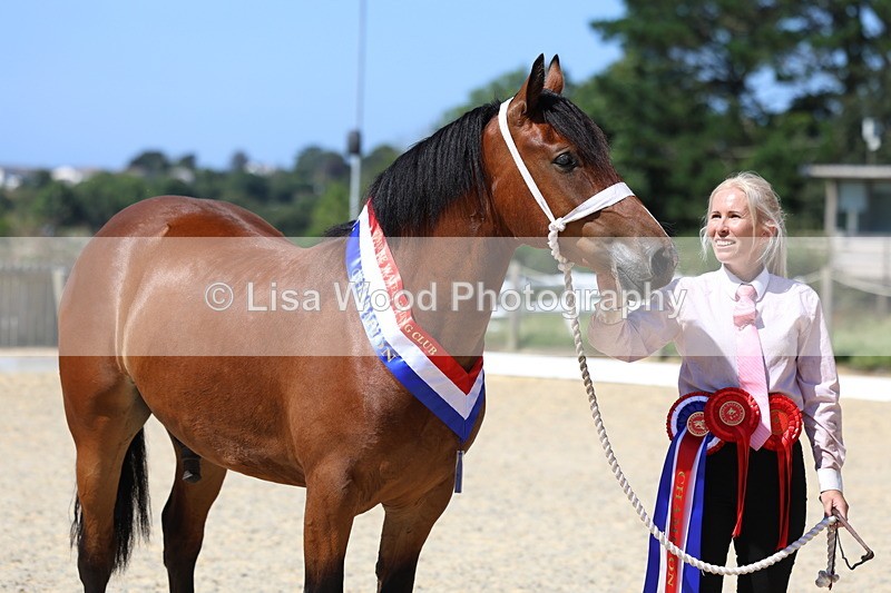 3E7A9943 - In Hand Championship