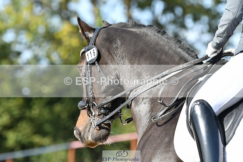 250906-160844-04594 - 116-Louise.CupittEnergiek.N