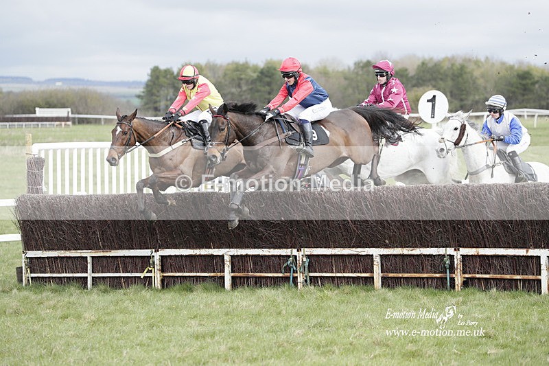 PtP 260323 0383 - New Forest Hounds Point-to-Point Larkhill 26/03/23
