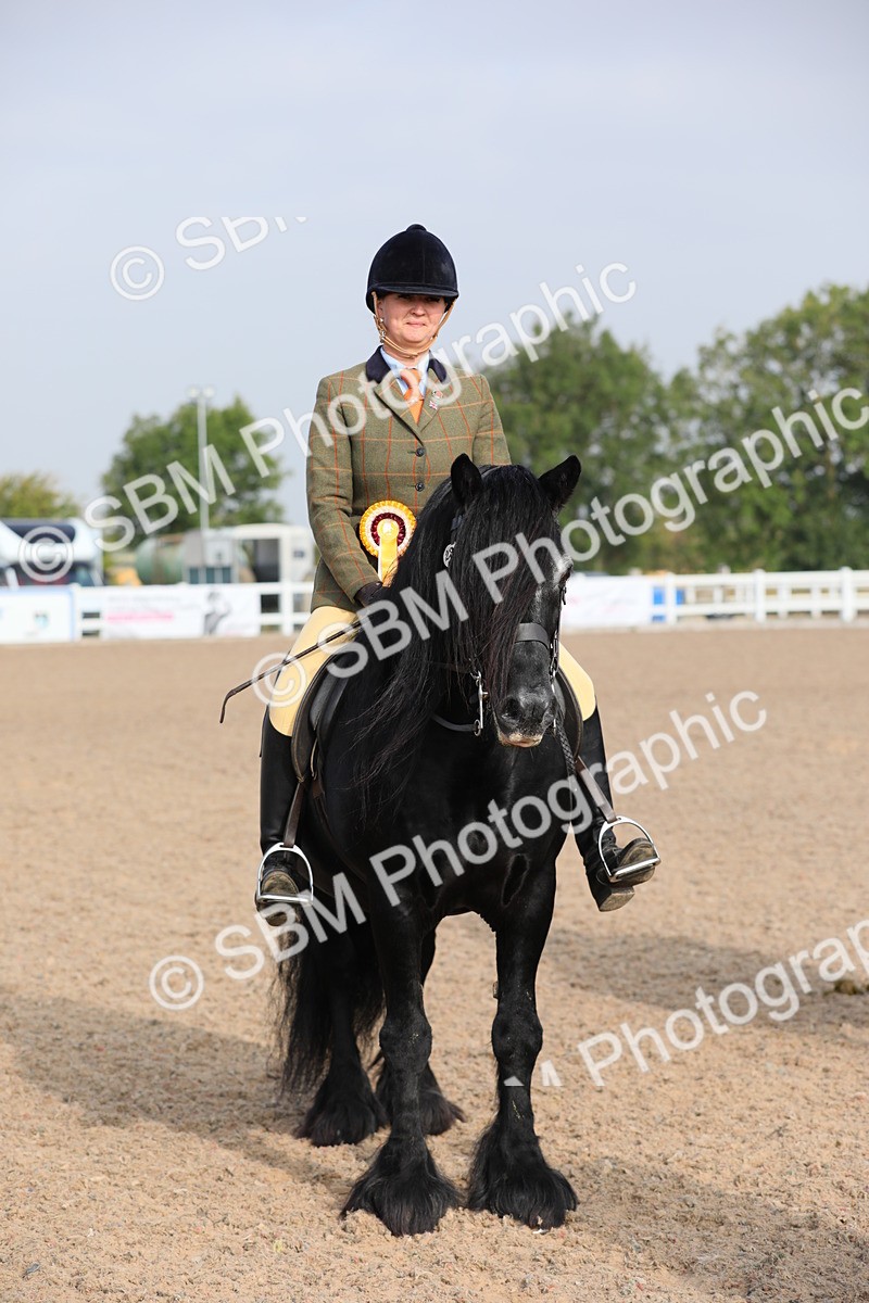 SBM_10165 - Class 302 Ridden M&M -Large Breeds