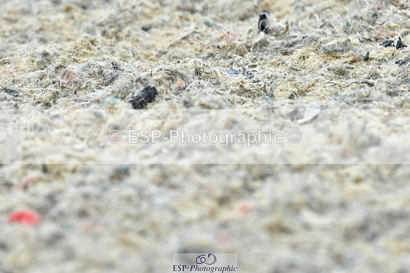 230722-160550-03862 - Cls 5, Elementary Silver 15.10 to End