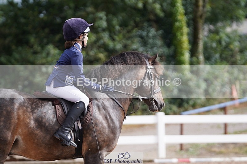 240809A-100110-00400 - Dressage Competition