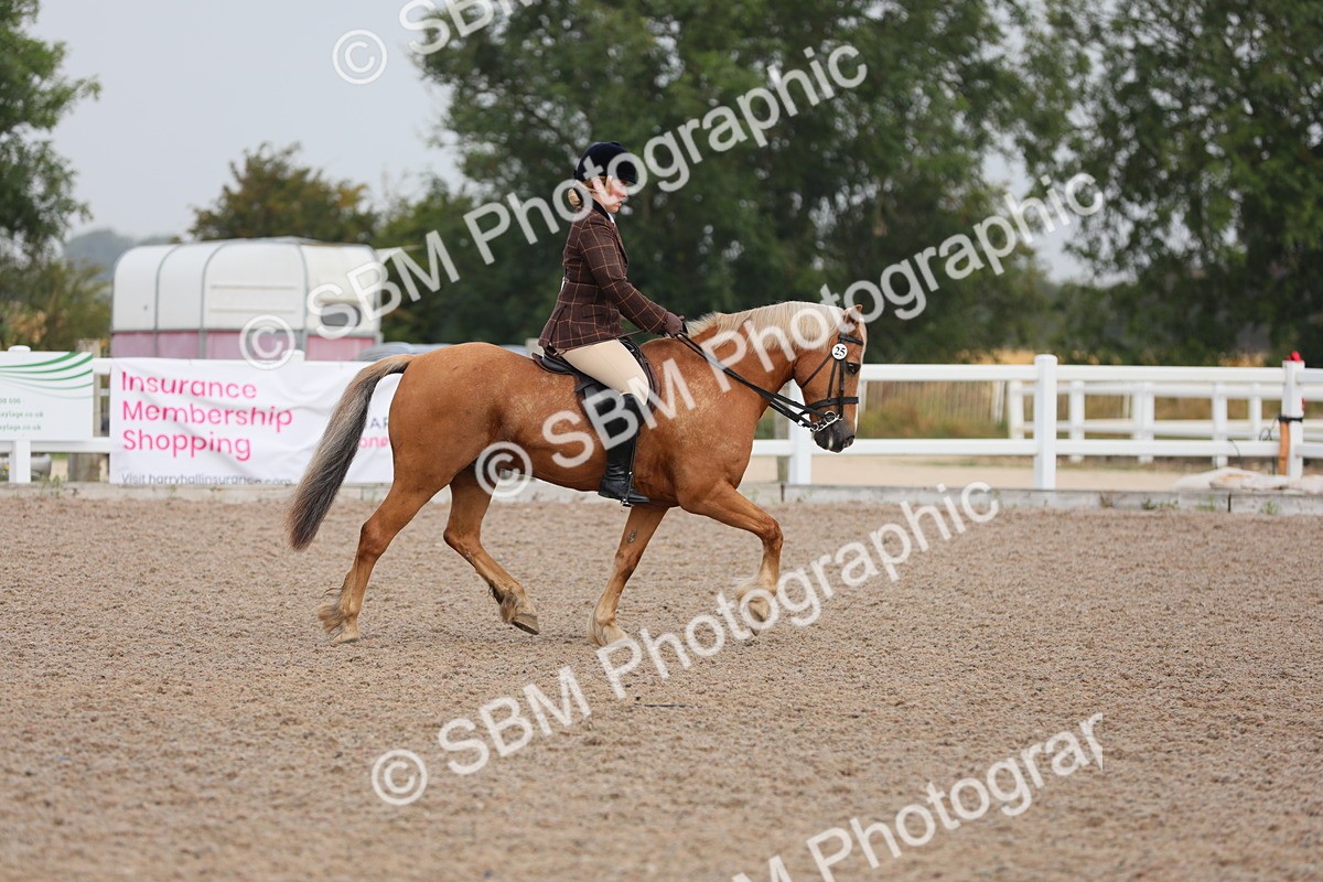 SBM_09985 - Class 302 Ridden M&M -Large Breeds