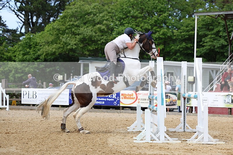 3E7A7071 - Class 7: Senior Newcomers/1.10m open