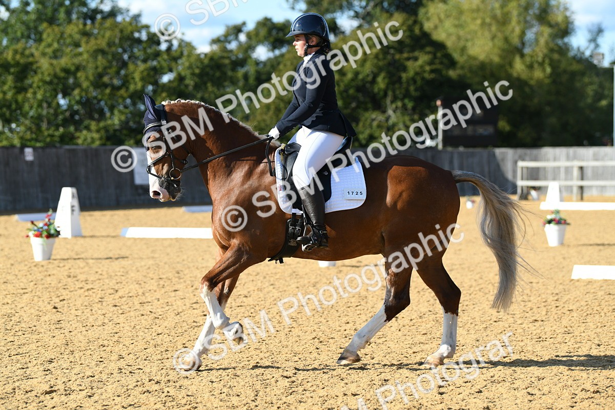 SBM_27324 - D16 - Small Tour Championship - Novice 28