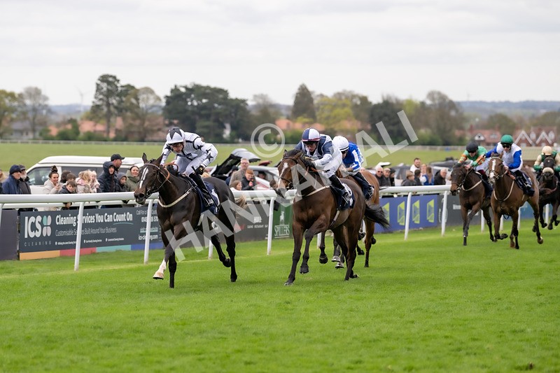 160425-Race 1-Ali Shuffle-2242 - Race 1