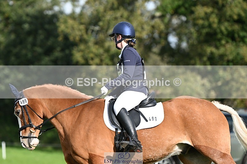 231020-143938-10711 - 499-GORFELYN.PETER.THE.GREAT-Charlotte.Bellamy-DR