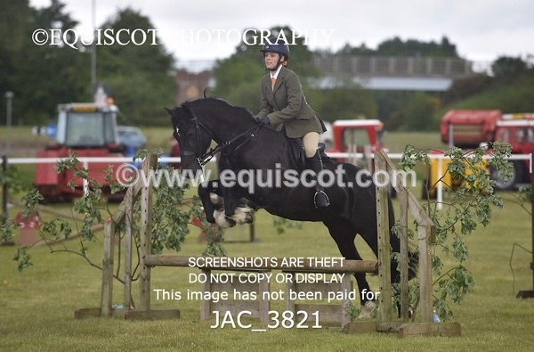 JAC_3821 - 65cm WORKING HUNTER