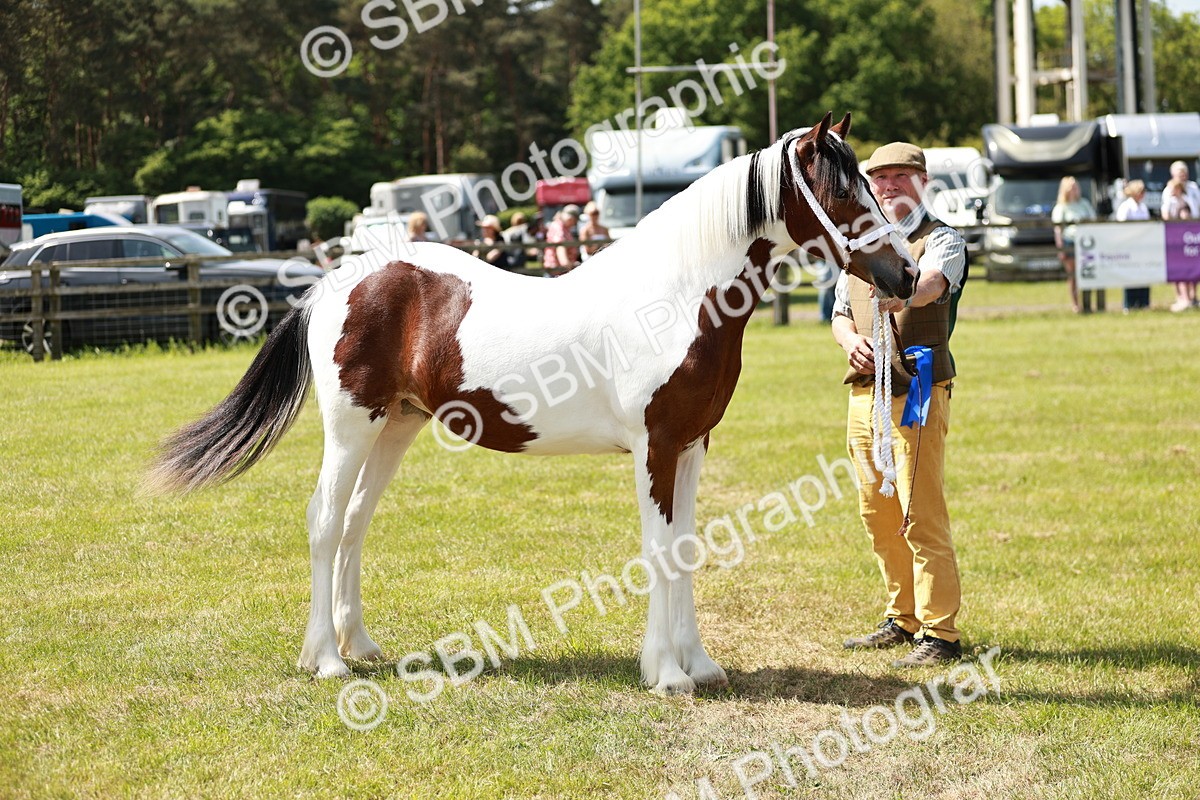 SBM_04269 - Class 39-40 - BSPA Coloured In Hand