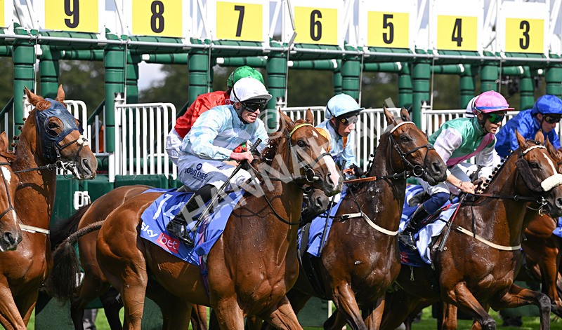 220826-035 Steel Raven - Race 2 14.25pm Sky Bet Melrose Handicap
