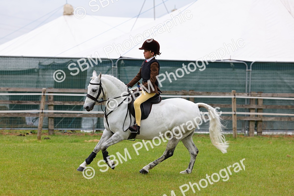 SBM_09466 - Class 44-45 - LIHS BSPS Open Nursery and Cradle Stakes