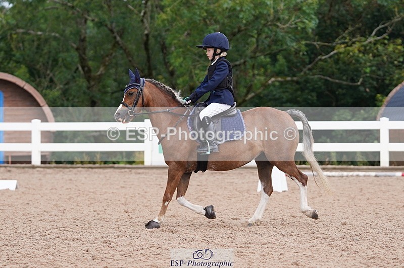240809A-100822-00442 - Dressage Competition