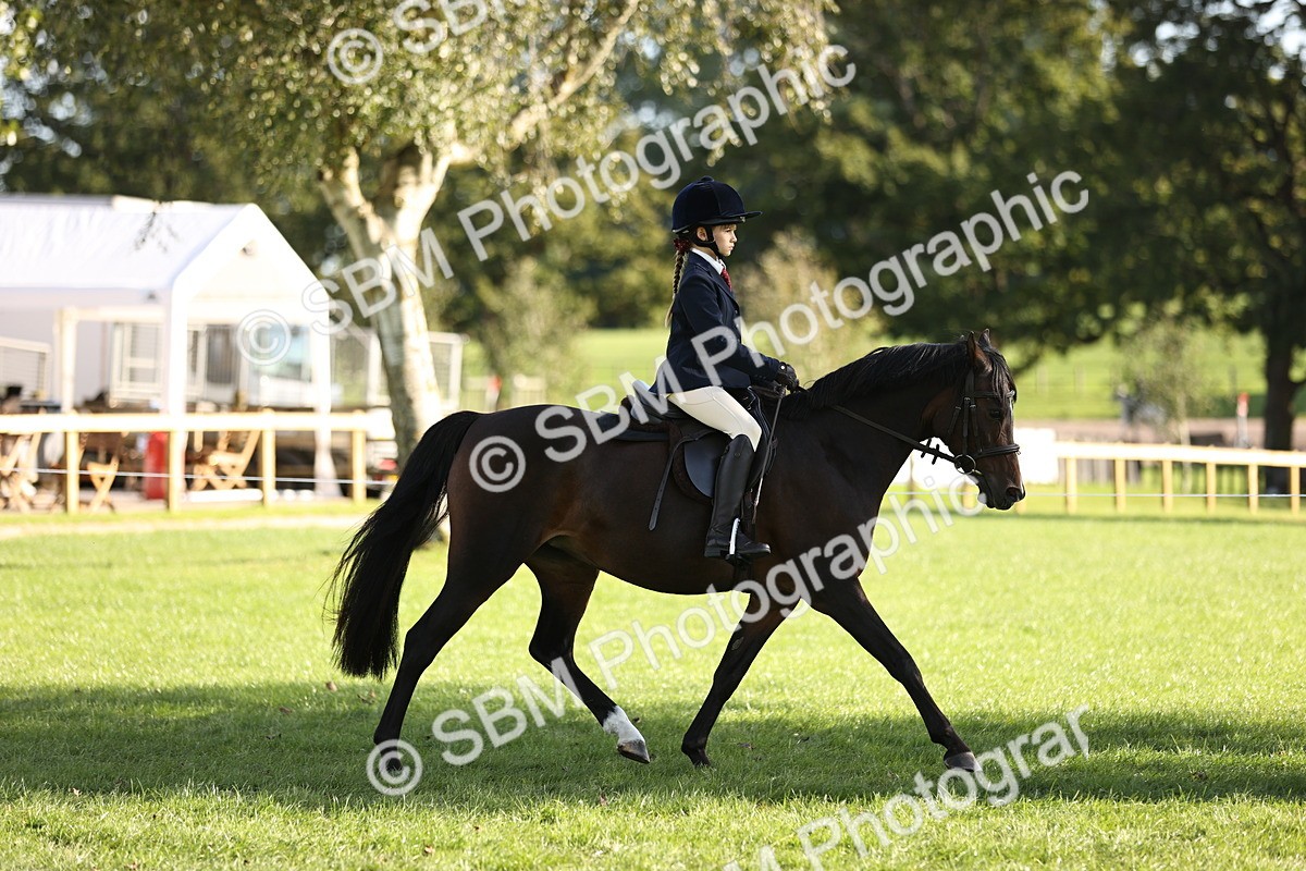 SBM_29316 - S7 - Novice & Newcomers Ridden Pony