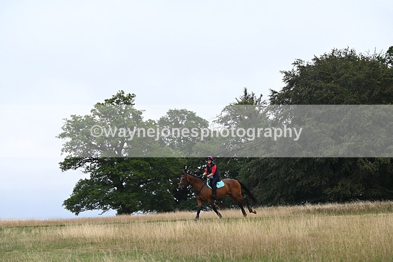 DSC_0467 - Time at Statue 09:51 to 10:54