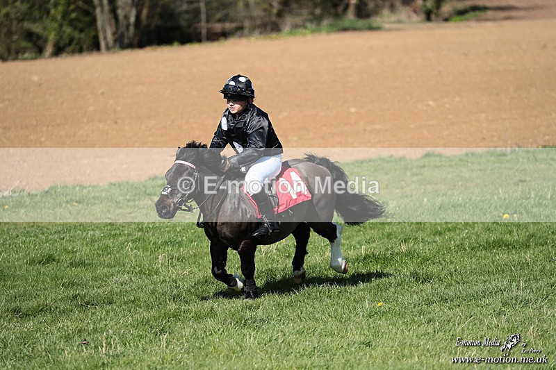 Shet 060426 312 - Shetland Pony Racing Paxford Races Easter Mon 06/04/26
